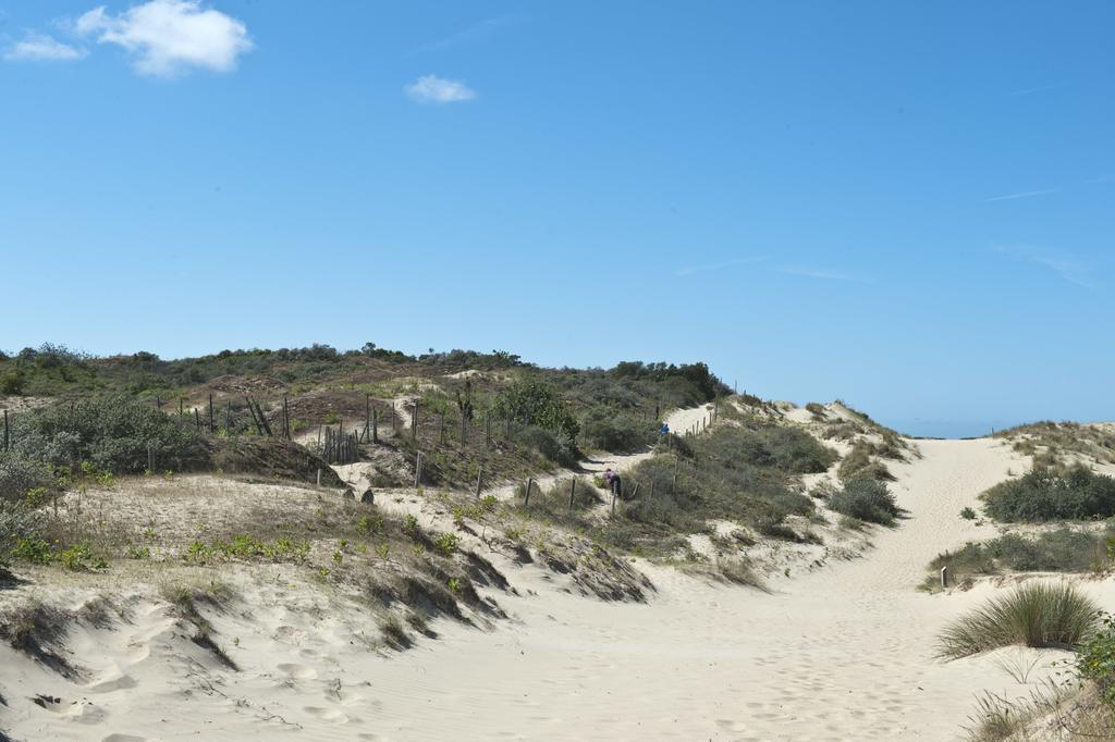 Evancy Etoile Des Dunes Бре-Дюн Екстер'єр фото